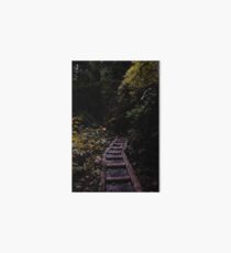 forest path Art Board