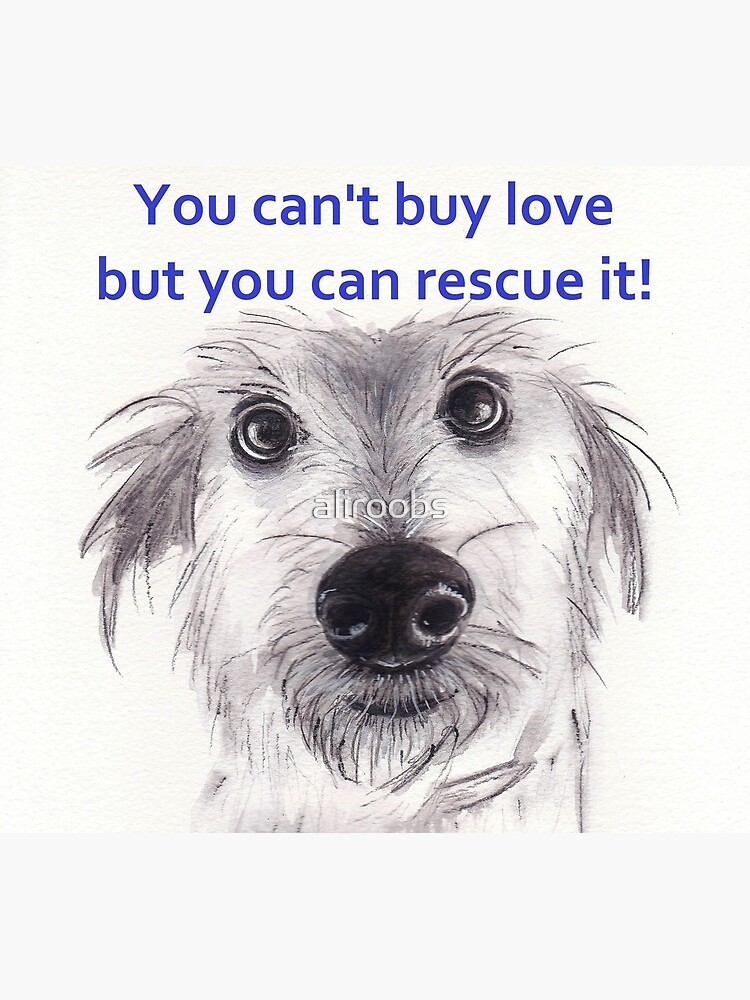 Buy a rescue outlet dog