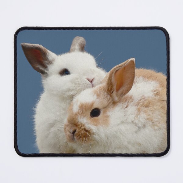 Item preview, Huggy bunnies designed and sold by CritterSticker.