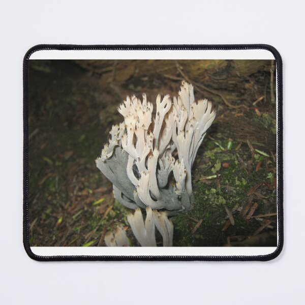Item preview, Coral-like mushroom designed and sold by Daerohel.