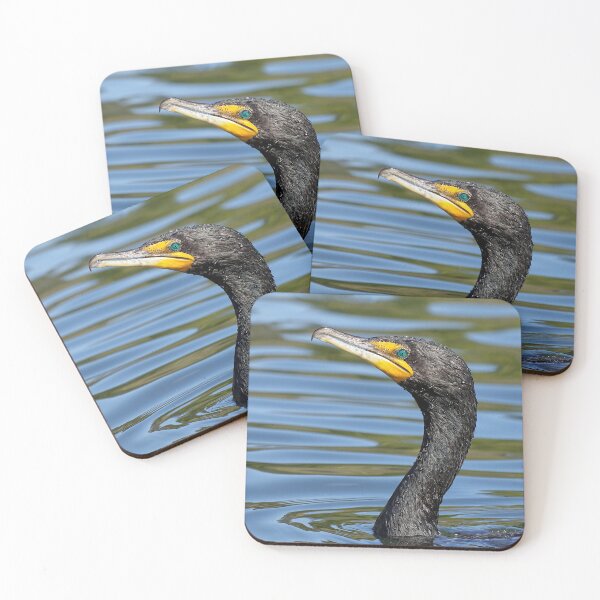 Item preview, Look of the Cormorant designed and sold by Tom McPherson Photography.
