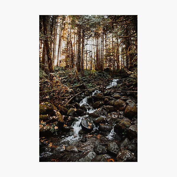 Item preview, forest waterfall designed and sold by bellehibou.