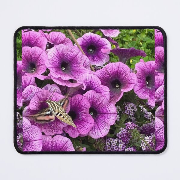 Item preview, Hummingbird Moth On Purple Petunias designed and sold by Mizjean.