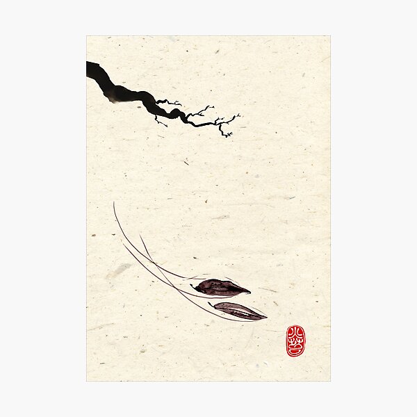 Photographic Print