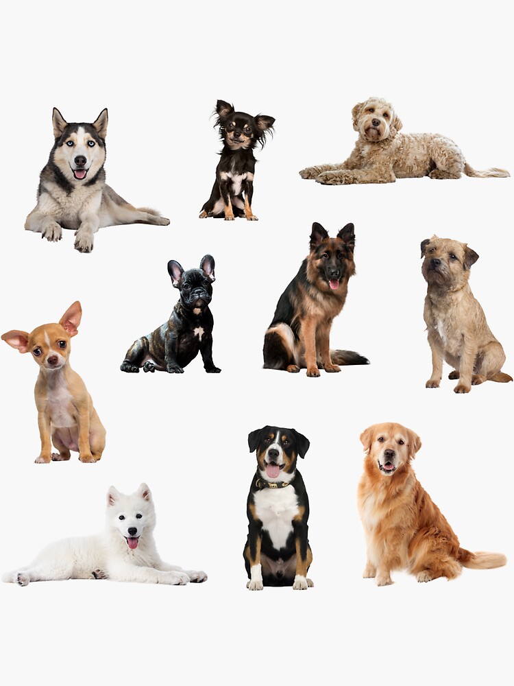 "Dog Sticker Pack" Sticker for Sale by Unindiv Redbubble