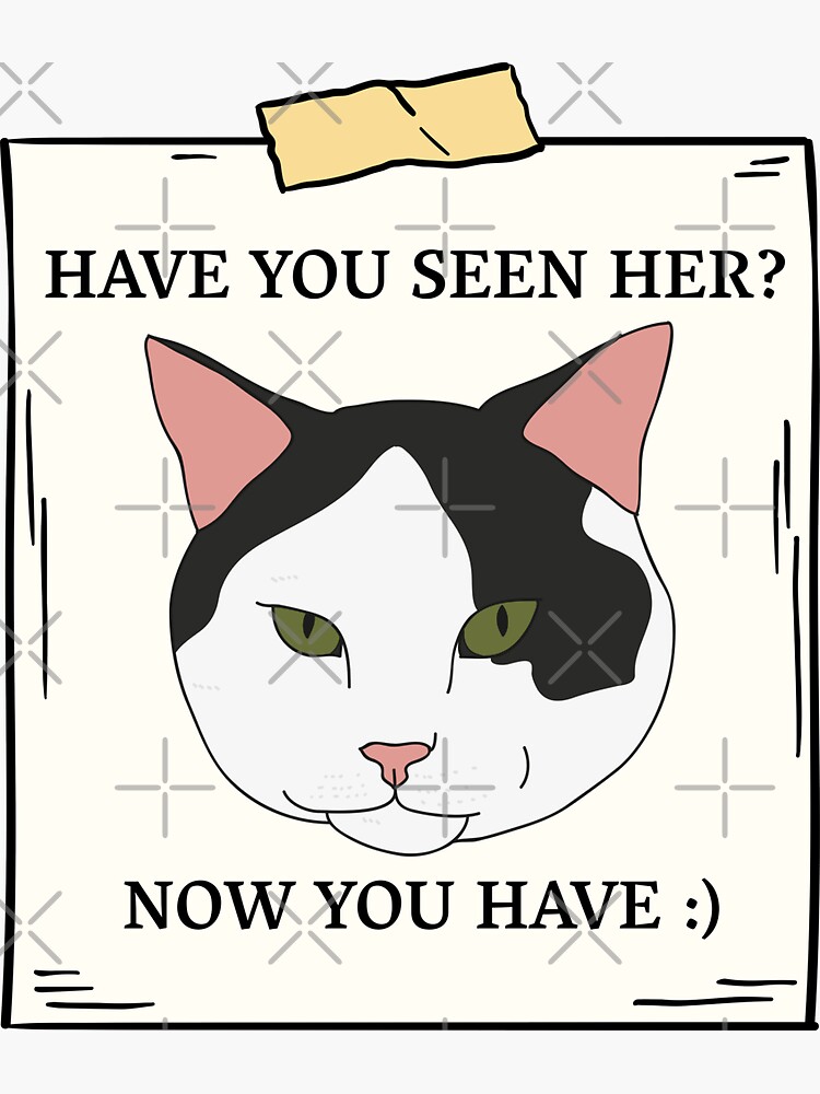 "Have You Seen Cat Now You Have Pet Wanted" Sticker for Sale by GEEK