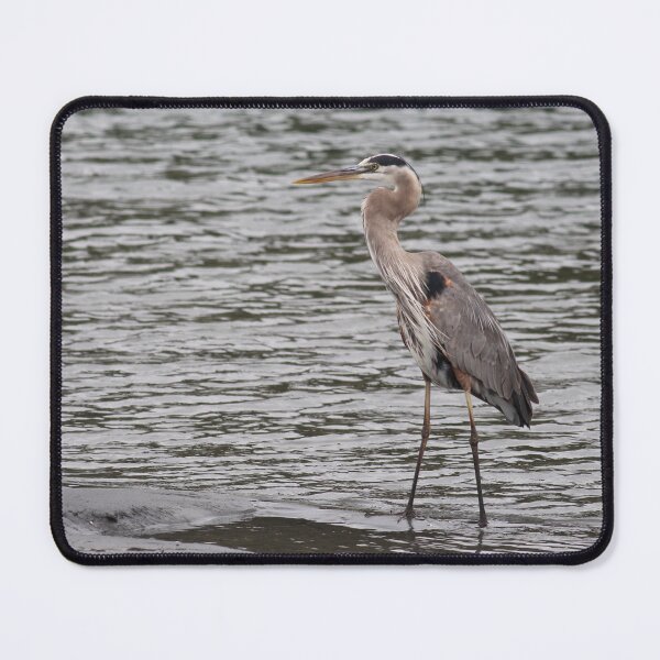Item preview, Bird Shot: The Great Blue Heron designed and sold by Jessica Weiss.