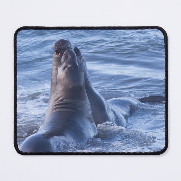 Item preview, Two Elephant Seals designed and sold by Jessica Weiss.