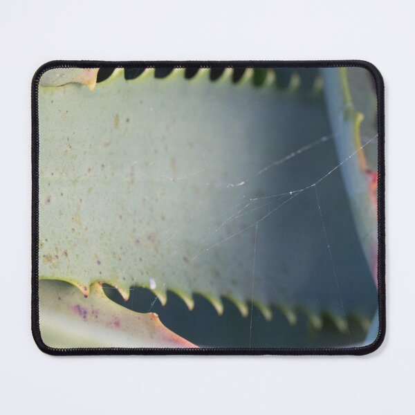 Item preview, Aloe Plant Art designed and sold by Jessica Weiss.
