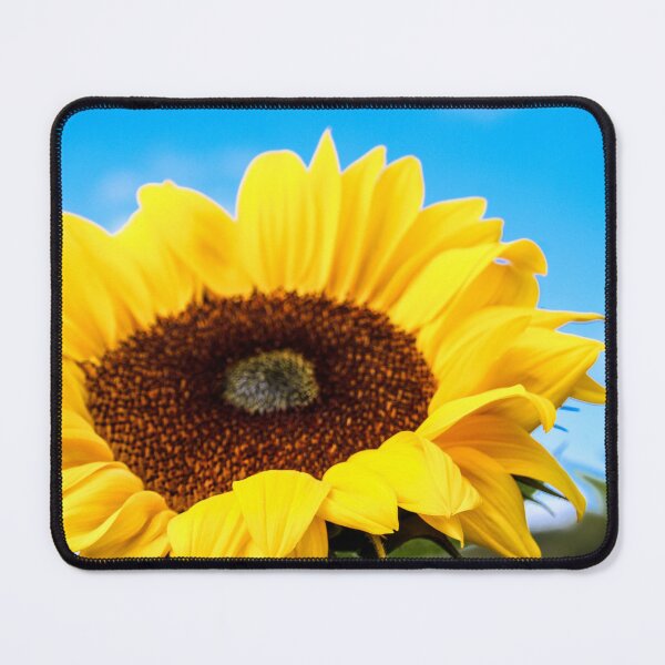 Item preview, Sunflower in a sunflower field designed and sold by rogerhphoto.
