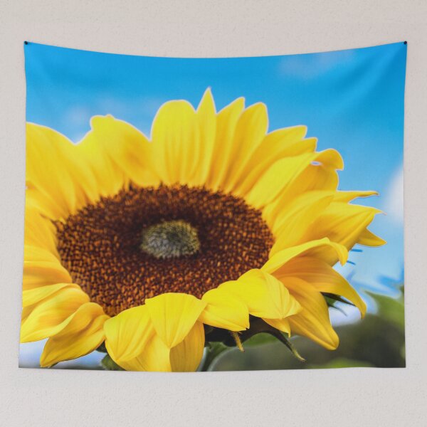 Item preview, Sunflower in a sunflower field designed and sold by rogerhphoto.