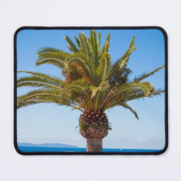 Item preview, palm tree by the sea designed and sold by rogerhphoto.