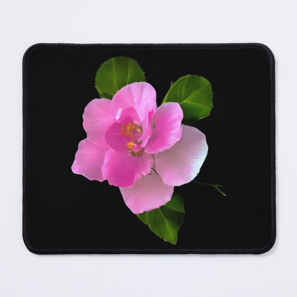 Item preview, Wild rose flower artwork designed and sold by gramizzia.