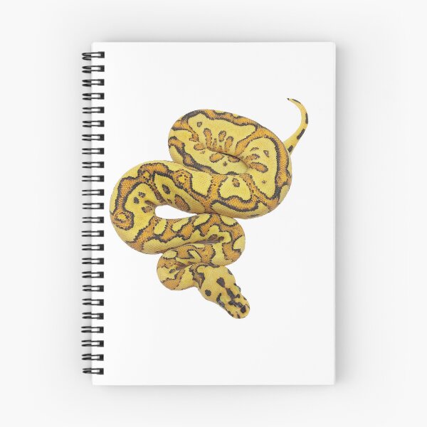 Artikelvorschau, Kugelpython-Morph-Aufkleber - Fire Spotnose Yb OD Clown-Aufkleber entworfen und verkauft von BDesignerMorphs.