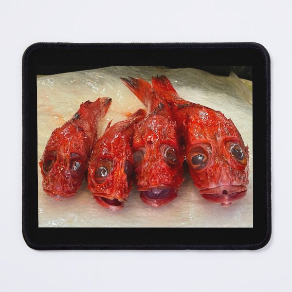 Item preview, Fish in Chinatown © David M Ball designed and sold by davidmball.