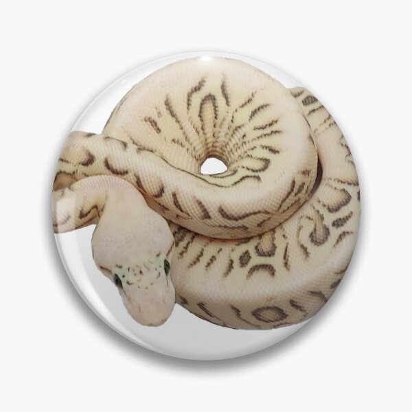 Item preview, Ball python morph sticker designed and sold by BDesignerMorphs.