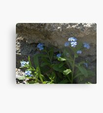 Life Will Prevail Metal Print