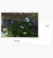 Life Will Prevail Postcards