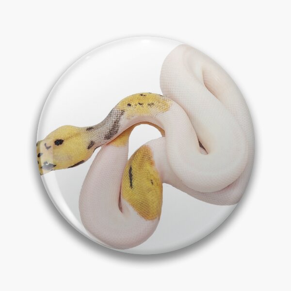 Item preview, ball python morph sticker - Pastel Leopard Clown Pied sticker designed and sold by BDesignerMorphs.