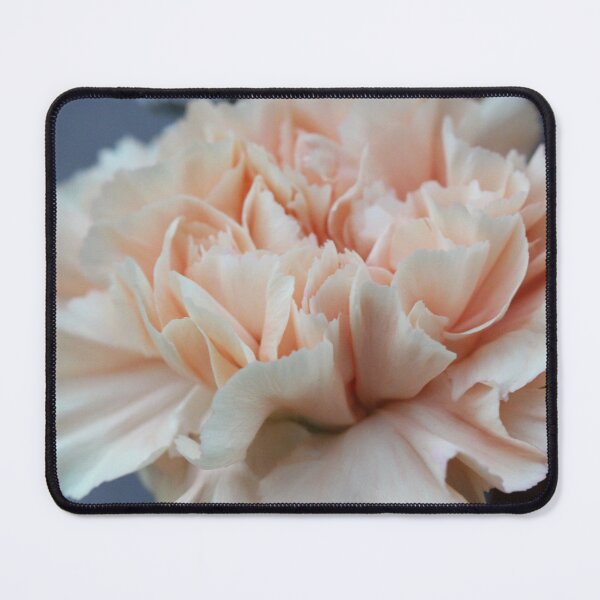 Item preview, Soft Pink Carnation designed and sold by Jessica Weiss.