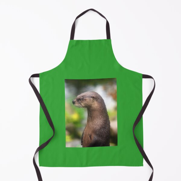 Item preview, Fingal 2 designed and sold by RedHillDigital.