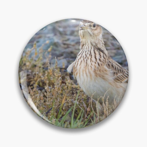 Item preview, Skylark designed and sold by LaurenTucker.