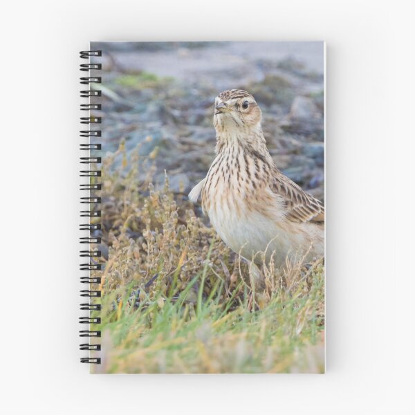 Item preview, Skylark designed and sold by LaurenTucker.