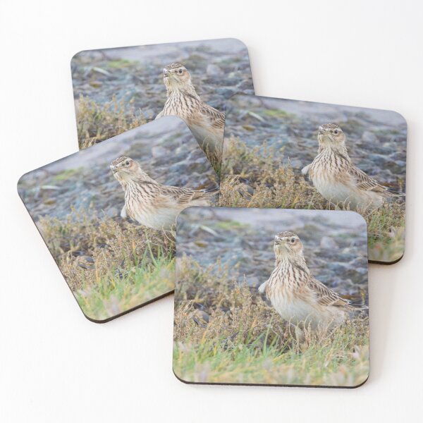 Item preview, Skylark designed and sold by LaurenTucker.