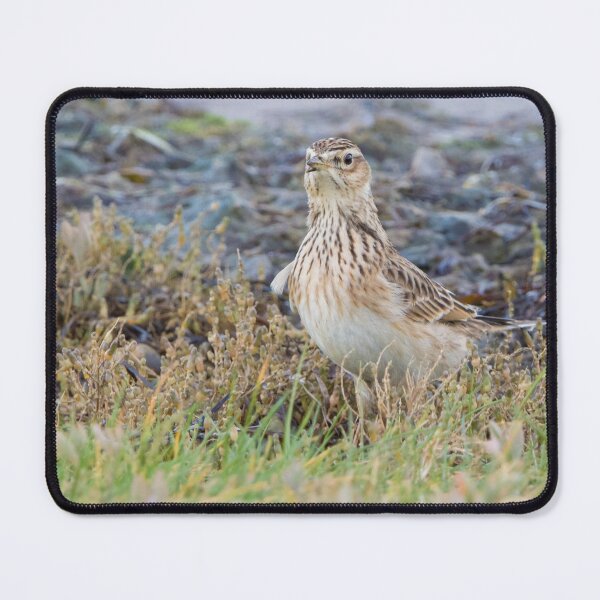 Item preview, Skylark designed and sold by LaurenTucker.