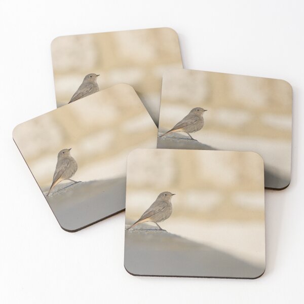 Item preview, Black Redstart designed and sold by LaurenTucker.