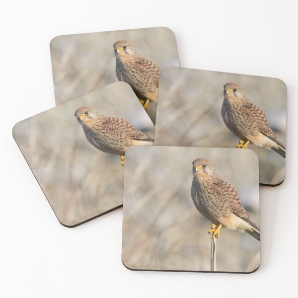 Item preview, Kestrel designed and sold by LaurenTucker.