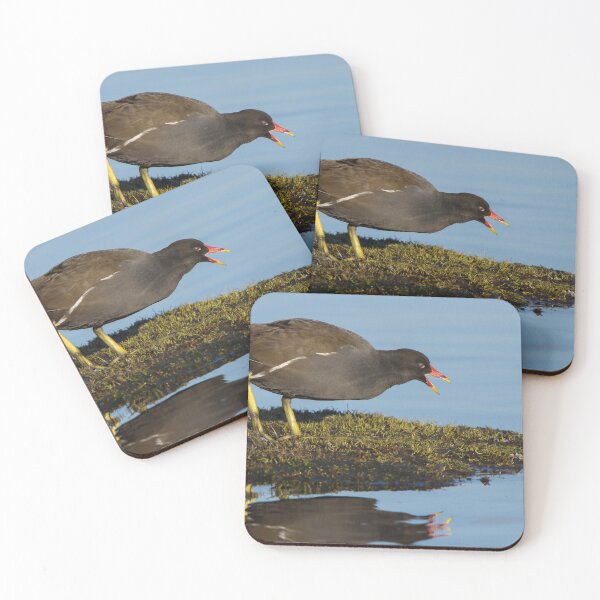 Item preview, Moorhen designed and sold by LaurenTucker.