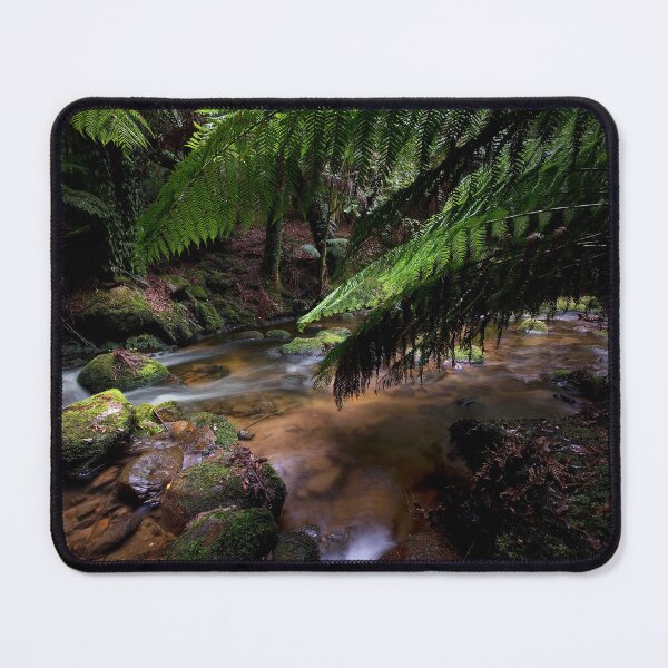 Item preview, RAINFOREST TASMANIA designed and sold by Rick Knowles Photo Art.