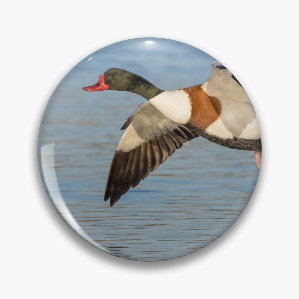 Item preview, Shelduck designed and sold by LaurenTucker.