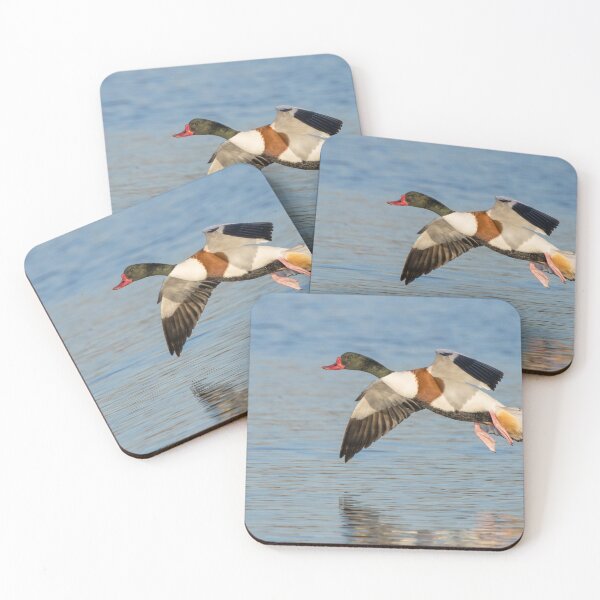 Item preview, Shelduck designed and sold by LaurenTucker.