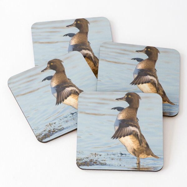 Artikelvorschau, Tufted Duck entworfen und verkauft von LaurenTucker.
