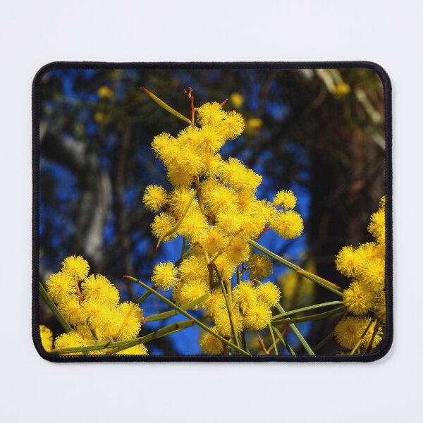 Item preview, Mimosa Tree Australia designed and sold by AussieAl.