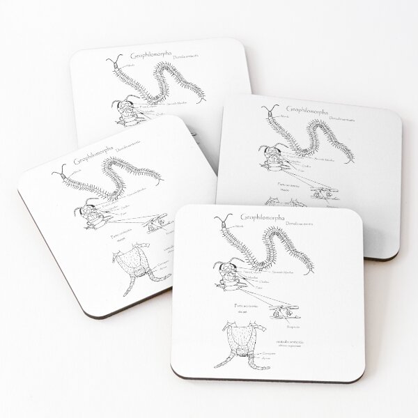Item preview, Geophilomorpha | centipede designed and sold by UCAYAYA.