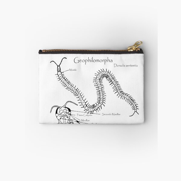 Item preview, Geophilomorpha | centipede designed and sold by UCAYAYA.