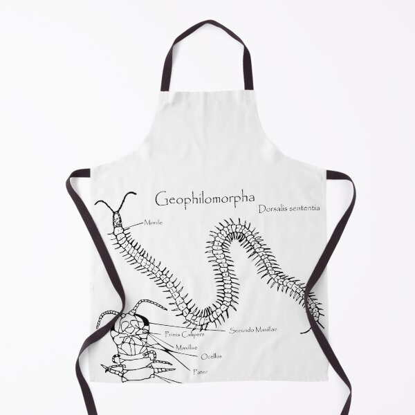 Item preview, Geophilomorpha | centipede designed and sold by UCAYAYA.
