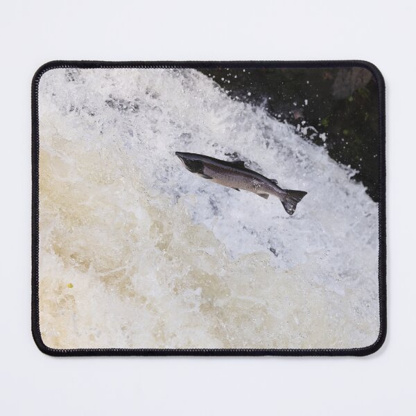 Item preview, Leaping salmon designed and sold by chanonry.