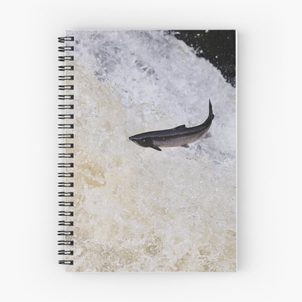 Item preview, Copy of Leaping salmon designed and sold by chanonry.
