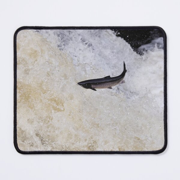 Item preview, Copy of Leaping salmon designed and sold by chanonry.