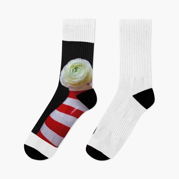 Item preview, Two White Ranunculus Flowers In Red And White Striped Vase designed and sold by Garry Gay.