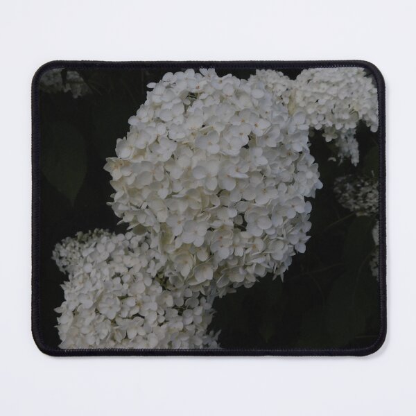 Item preview, Viburnum flower designed and sold by Hanna1919.