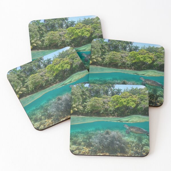 Item preview, Tropical shore over under sea with turtle Caribbean sea designed and sold by Seaphotoart.