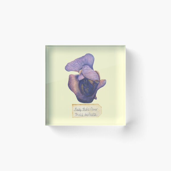 Item preview, Mealy-thalia Flower designed and sold by DoodlAndCanoodl.