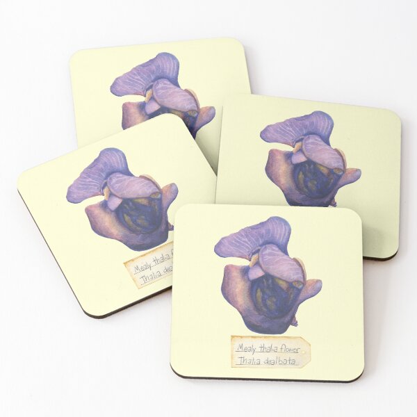 Item preview, Mealy-thalia Flower designed and sold by DoodlAndCanoodl.