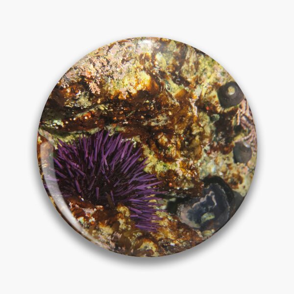 Item preview, Tidepool Wonderland designed and sold by ana-celeste.