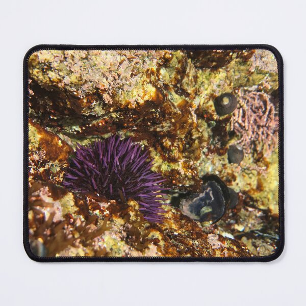Item preview, Tidepool Wonderland designed and sold by ana-celeste.